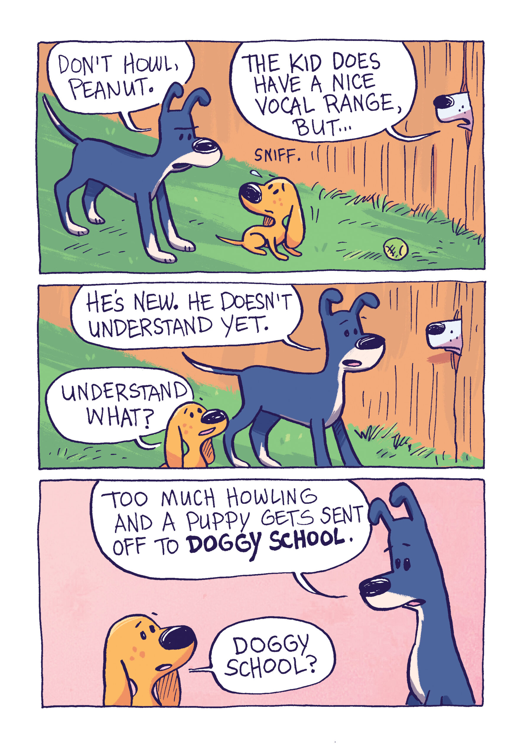The true doggy school tales that inspired the book.